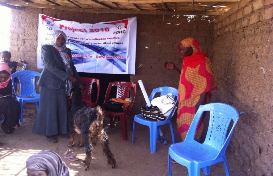 Strengthening livelihoods and enhancing resilience and adaptive capacity among internally displaced persons (IDPs) and vulnerable host communities in Sudan, with a particular focus on women-headed households.